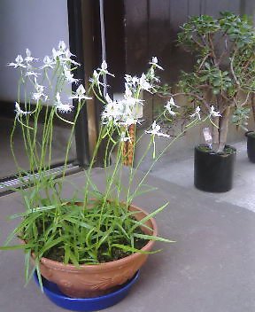 画像の説明 画像の説明