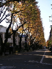 画像の説明 画像の説明