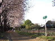 画像の説明