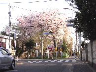 画像の説明