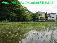 画像の説明 画像の説明