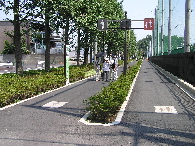 画像の説明 画像の説明