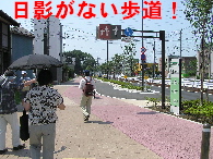 画像の説明 画像の説明