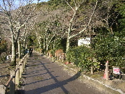 画像の説明