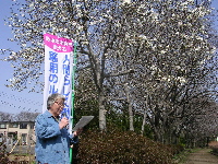 画像の説明
