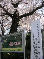 画像の説明