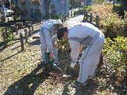 市の職員もみんなと一緒に作業