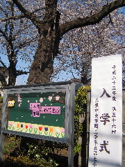 画像の説明 画像の説明