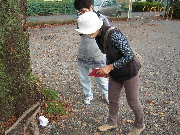 画像の説明 画像の説明