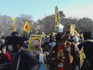 画像の説明 画像の説明