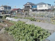 画像の説明 画像の説明
