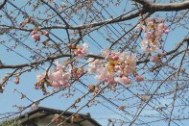 画像の説明 画像の説明