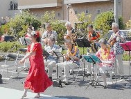 画像の説明 画像の説明