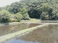 画像の説明 画像の説明