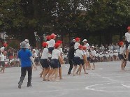 画像の説明